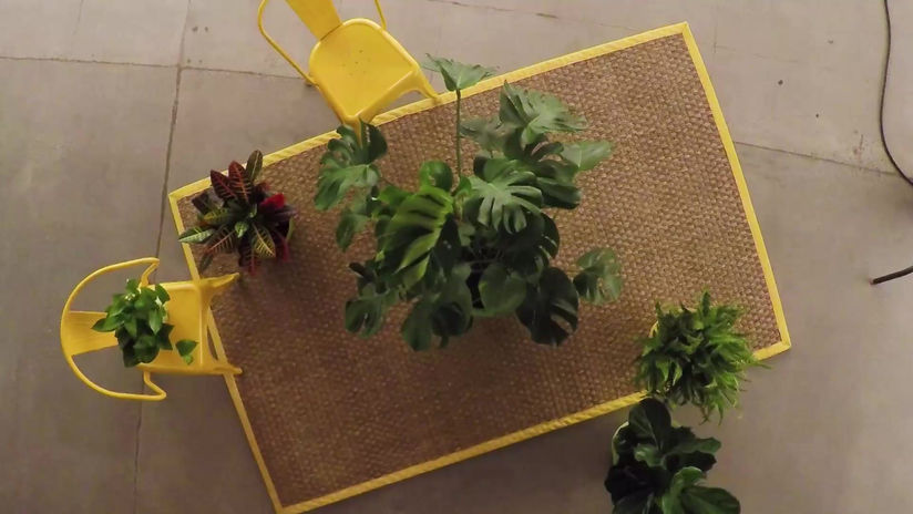 surf-nmotion-promotional-video-reel-2022-170358-ORIGINAL